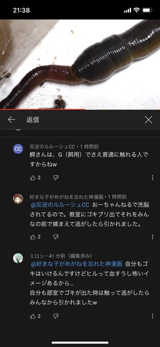 5bedsgxpqx21tm