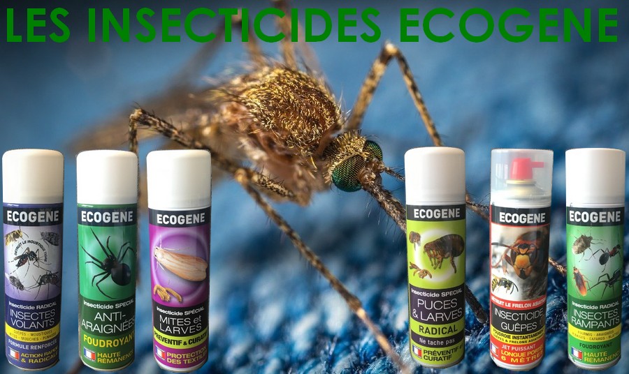 ECOGENE INSECTICIDE FOUDROYANT SPÉCIAL ANTI-ARAIGNÉES 500ML