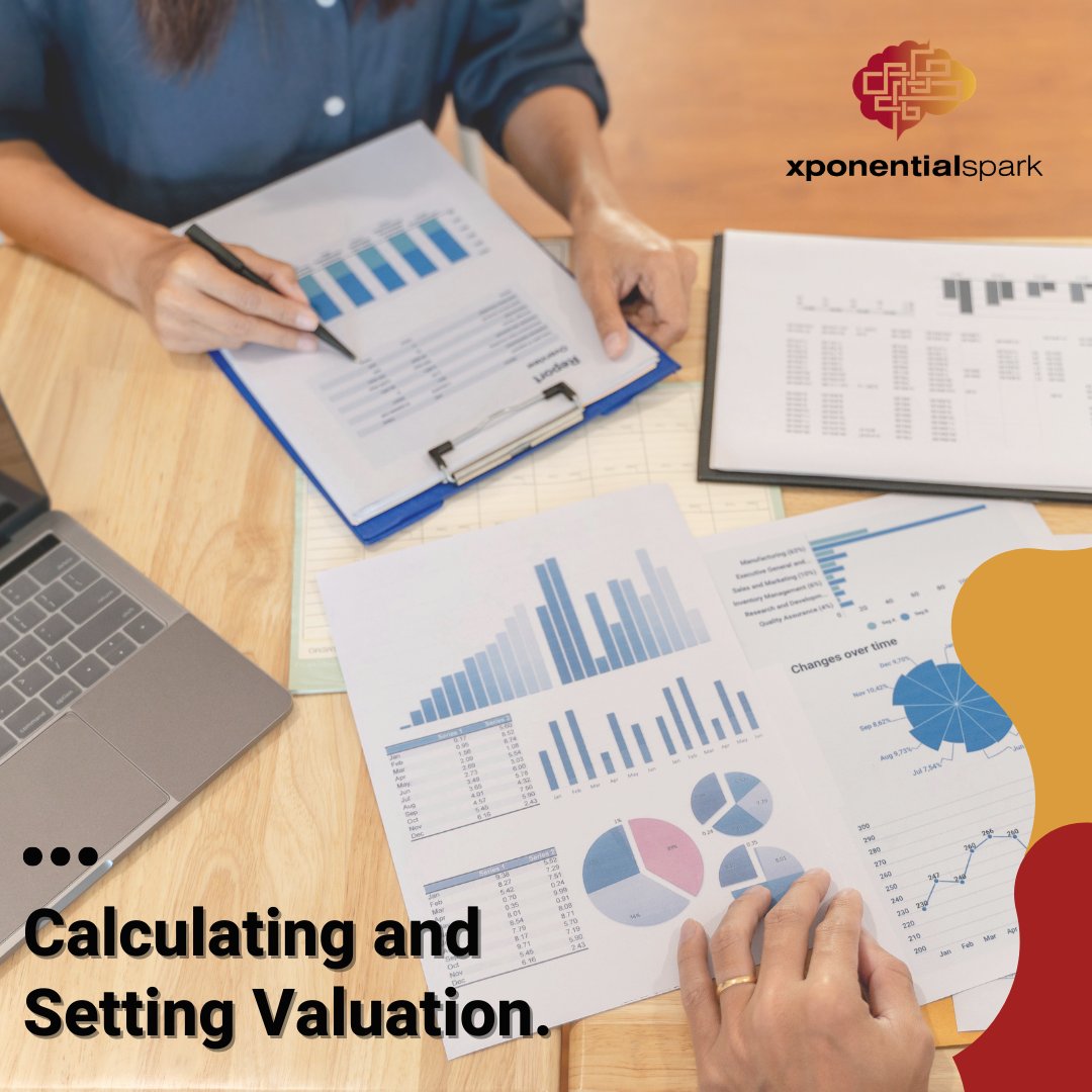 When it's time to do a valuation of your company, you may be better off if you don't fly solo. With Xponential Spark you can get the best business valuation formula for your business! 💼 #xponentialspark #startup #consulting #corporates #strategy  #openbankig #SMEs #valuation