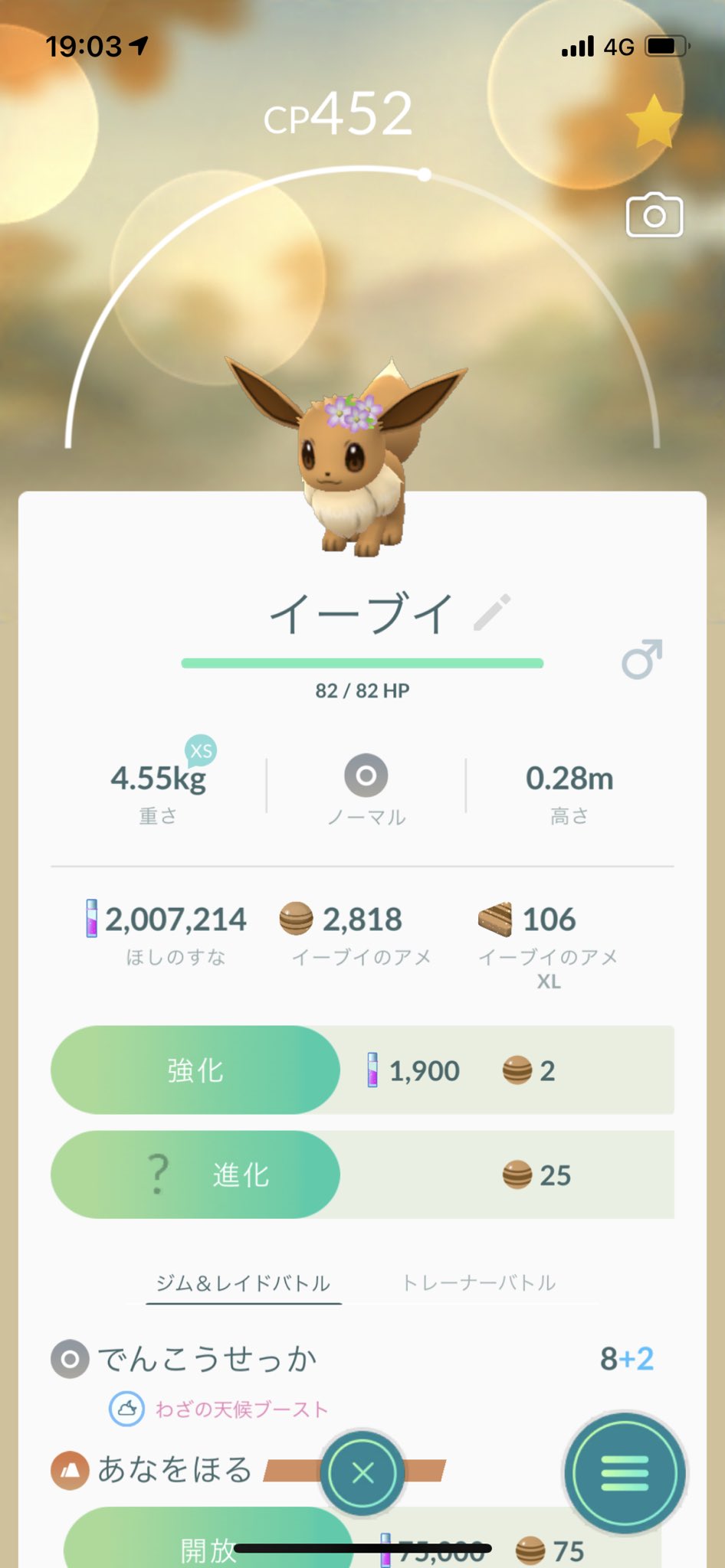 はーちゃん Pokego817 Twitter