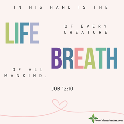 BEarthTN's tweet photo. #WednesdayWisdom https://t.co/aFPrex8xN1