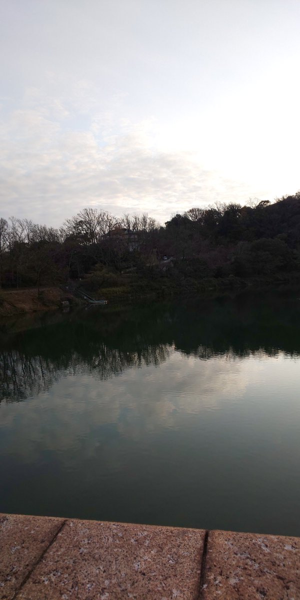 橋本航征占星学スクール on X