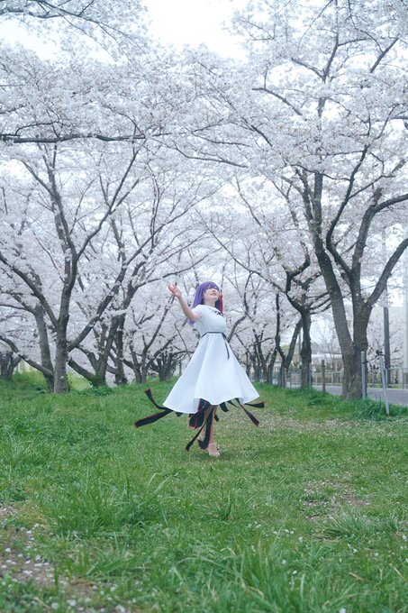 ⚠️COS // Fate/stay night [Heaven's Feel]ねぇ 輪になって踊りましょう間桐桜：みも