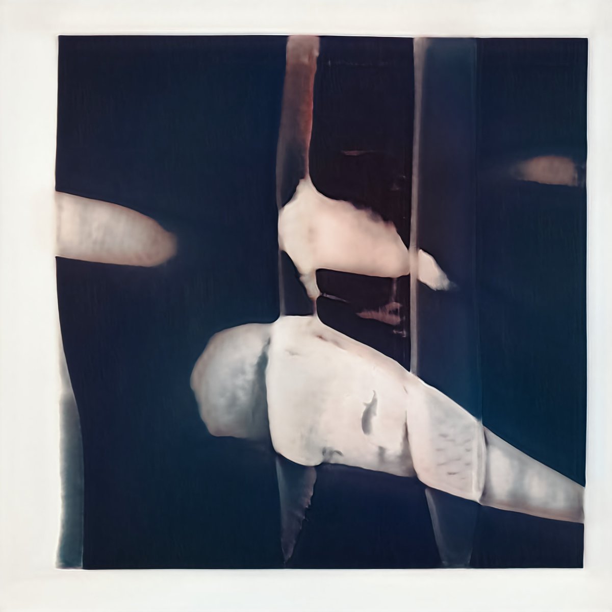 GALLERY0 tweet media