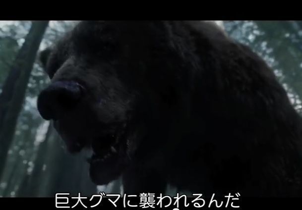 「ダークサイドミステリー」・・・お硬い学術系番組と見せかけて、「三毛別羆事件」を扱った時は、「デカプリオも大好き! 可愛いくまちゃん」って「レヴェナント」の映像流すし、「ゾンビ伝説の歴史」の時は「ゾンビランドサガ」流すし、"わかっているやつ"の犯行感がすごいw 
