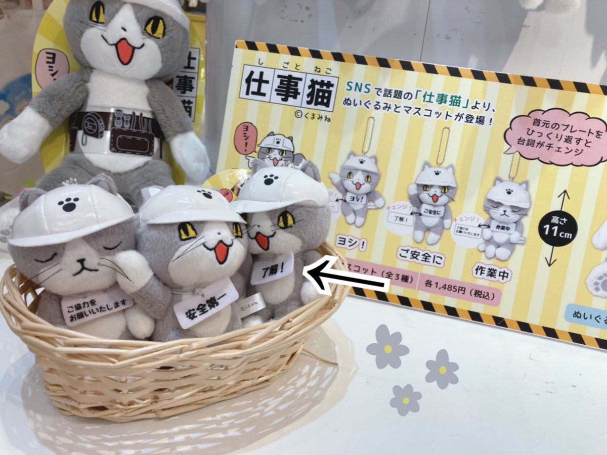 Nipopo原宿ｷｬｯﾄｽﾄﾘ ﾄ店 Nipopoharajuku Twitter