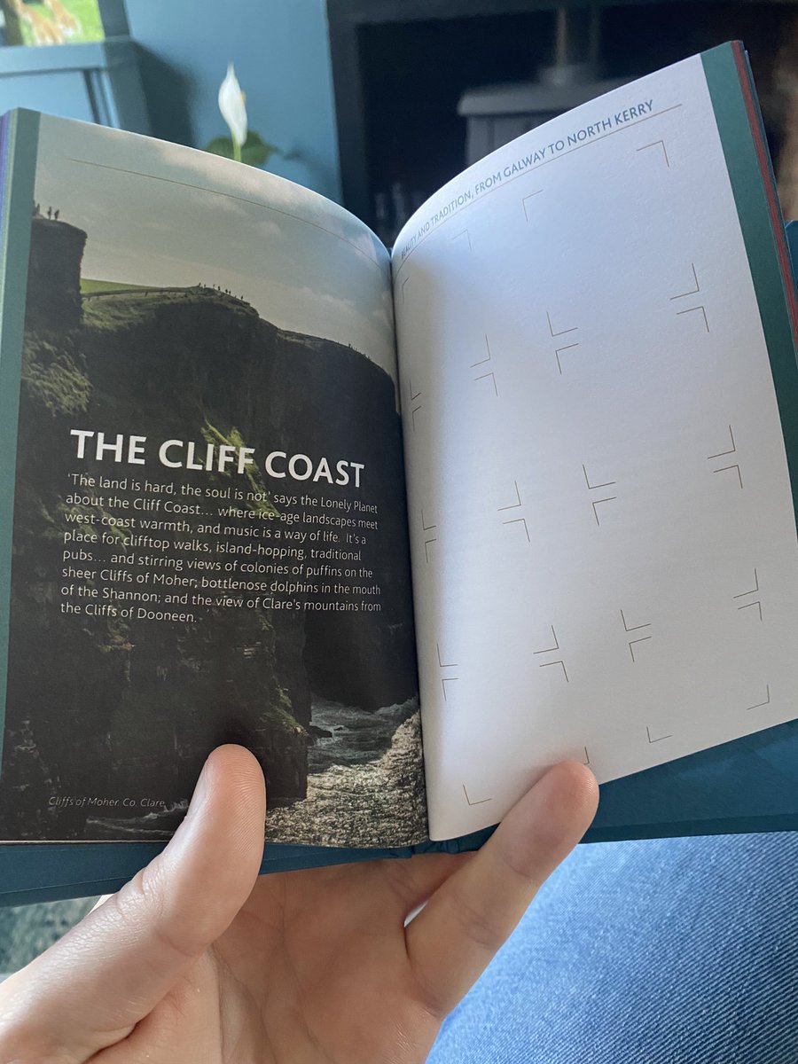 Barra Best tweet media