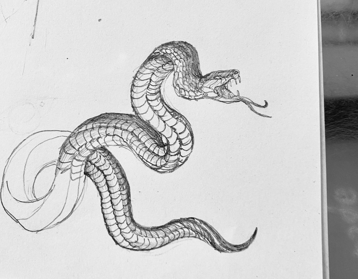 蛇 