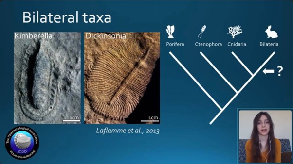 On our blog: graduate student Cat Boddy tells us about their Master’s project on the global distribution of Ediacaran biota 🌎🦕 

Cat presented the results at #PalAss20 and is writing them up for publication! #fossils

blog.esc.cam.ac.uk/?p=2028

<a href="/ediacatherine/">Cat Boddy</a>
@the_palaeoninja