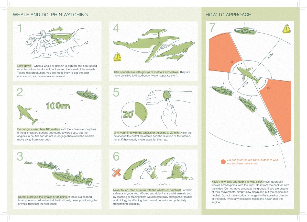 FundaPrincipe's tweet photo. To celebrate"World Dolphin Day" and reinforce good marine observation practices on Príncipe Island, Protetuga by the  @FundaPrincipe and in partnership with the @APCM_ONG, Regional Government,   developed the Whale and Dolphin Watching Guide, supported by @ruffordgrants . https://t.co/Gql5bR9F9m