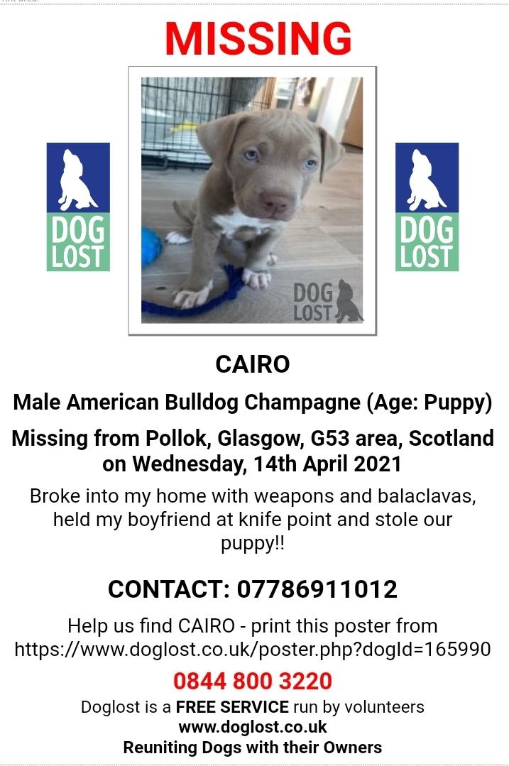 @caitlinmaley1 <a href="/ScottishSun/">The Scottish Sun</a> @polscotdogs <a href="/trafficscotland/">Traffic Scotland</a> <a href="/A9_Scotland/">A9 Scotland</a> <a href="/Amy_Wright94/">Amy Wright</a> URGENT
Cairo taken in violent home burglary 
See above