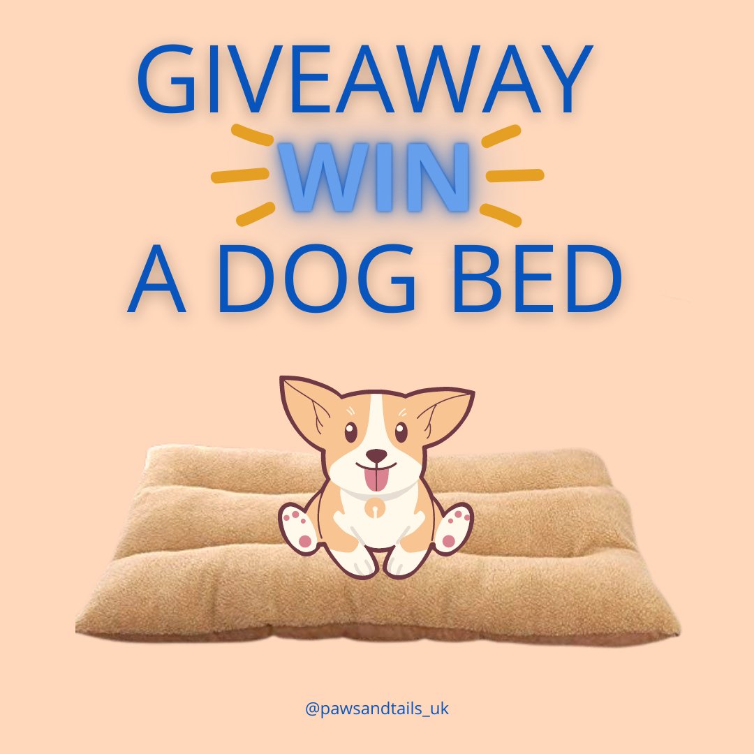 PawsTails1's tweet photo. πLAST CHANCE TO ENTER π
Win a Super Soft Dog Bed.
How to Enter:
1.Follow Both or Instagram and Facebook Page
2. Like this Post
3. Share this Post
4. Tag a Friend
What are you waiting for ENTER NOW!! π
https://t.co/gB81ZOFf6V
#giveaway #lastdaytoenter https://t.co/WDR5mUm4Xq