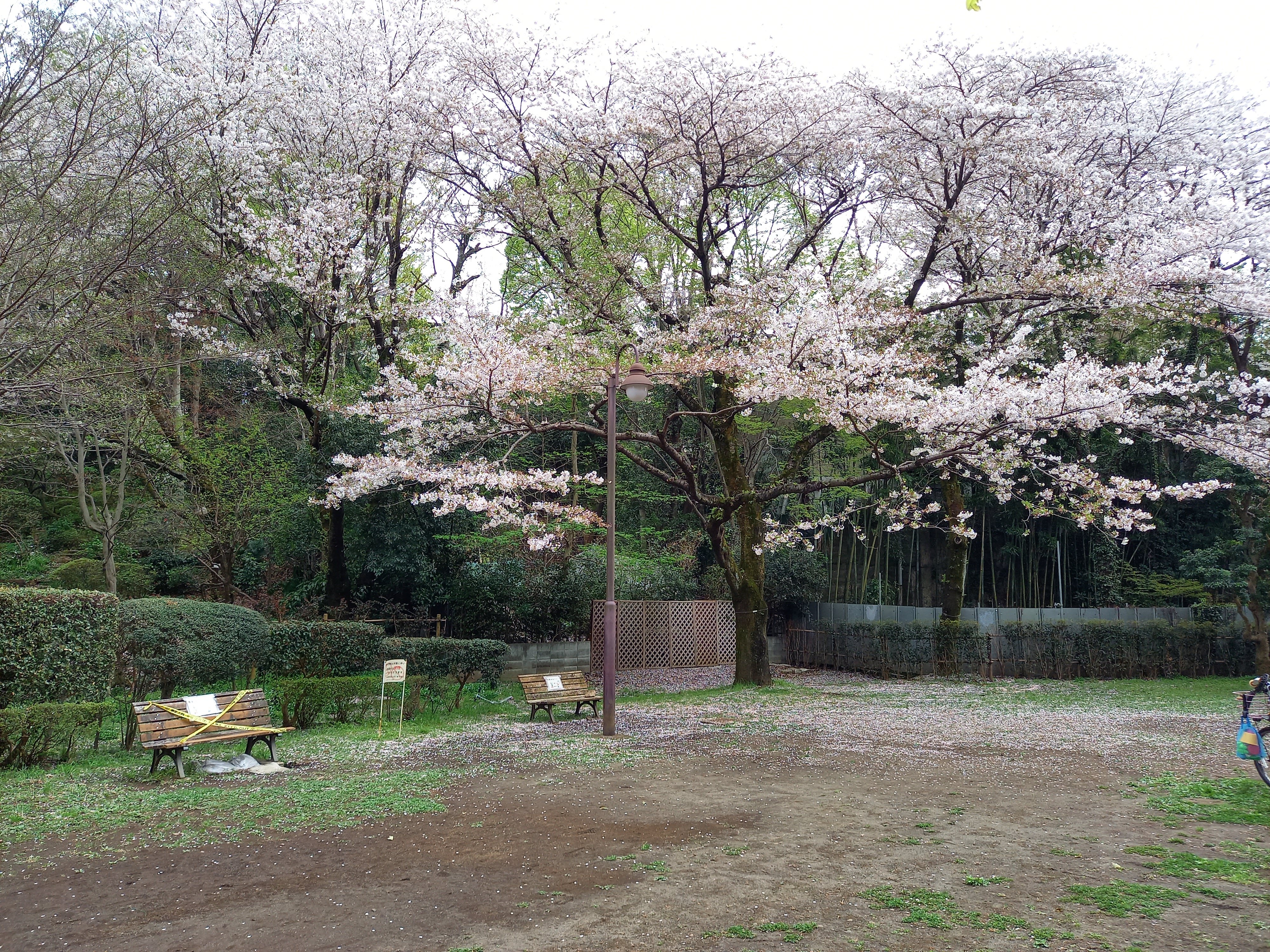 三浦靖雄 Pa Twitter 登録693号は調布市立入間公園の禁煙のお願い 背景に非常に薄っすらとしか見えませんが いろいろな禁煙マーク から通常のタバコと加熱式タバコが使われているはず この薄さイラストの意味あるのか いらすとや いらすとやマッピング