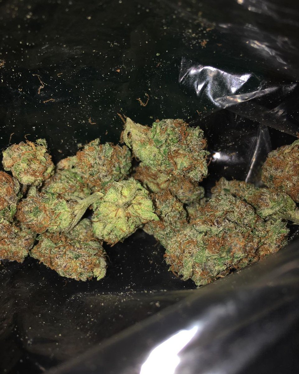 Cannabis Push 手押し木田 野菜手押しこまき 岩倉野菜 カモリ 手押し辻村 天白区マリファナ 手押し平針 清須芽 春日井大麻 鳴海雑草 名古屋手押し 東京野菜 日本野菜 手押し名古屋 札幌 T Co 64kgr971od 電報 T Co Cannabis Push 手押し木田 野菜手押しこまき 岩倉野菜 カモリ 手押し辻村 天白区マリファナ 手押し平針 清須芽 春日井大麻 鳴海雑草 名古屋手押し 東京野菜 日本野菜 手押し名古屋 札幌 T Co 64kgr971od 電報 T Co