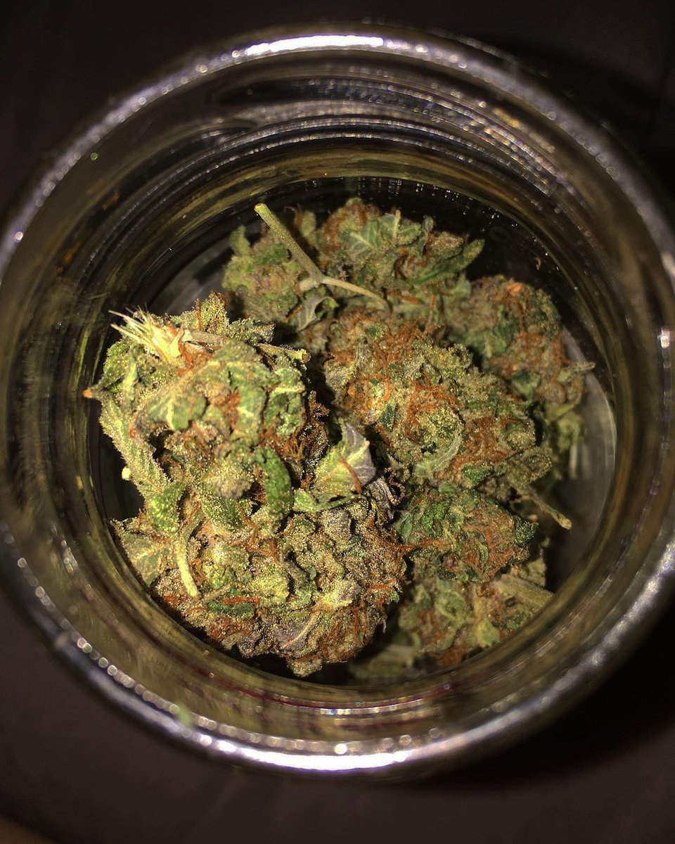 Cannabis Push 手押し木田 野菜手押しこまき 岩倉野菜 カモリ 手押し辻村 天白区マリファナ 手押し平針 清須芽 春日井大麻 鳴海雑草 名古屋手押し 東京野菜 日本野菜 手押し名古屋 札幌 T Co 64kgr971od 電報 T Co Cannabis Push 手押し木田 野菜手押しこまき 岩倉野菜 カモリ 手押し辻村 天白区マリファナ 手押し平針 清須芽 春日井大麻 鳴海雑草 名古屋手押し 東京野菜 日本野菜 手押し名古屋 札幌 T Co 64kgr971od 電報 T Co