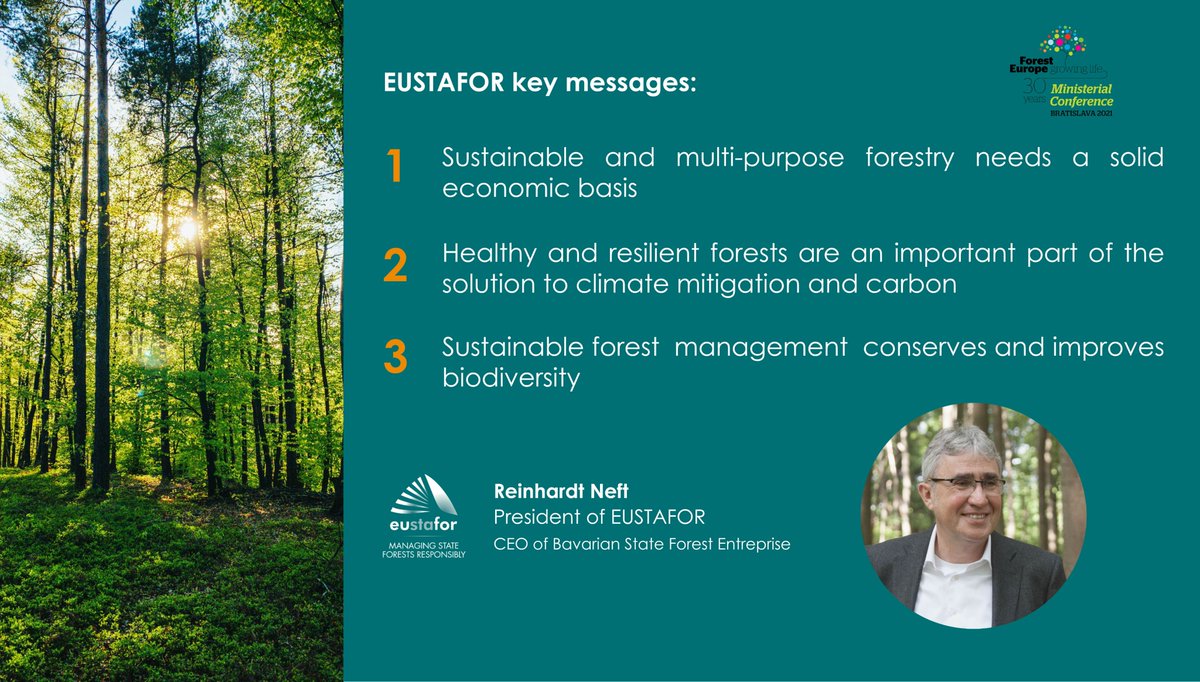 EUSTAFOR's tweet image. @ReinhardNeft, President of EUSTAFOR, shared the views of the #EUstateforests organizations on #sustainableforestmanagement at the @FORESTEUROPE #8MinConf

👉 Read the full statement: bit.ly/3sc4xk9