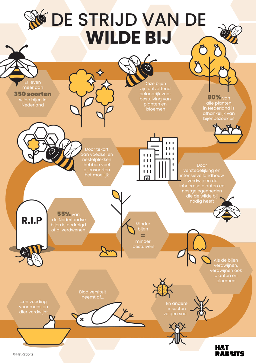 cruydthoeck's tweet photo. Doe je mee? Tel aanstaand weekend wilde #bijen tijdens de #nationalebijentelling! In deze infographic van @HatRabbits lees je waarom wilde bijen het moeilijk hebben en jouw hulp kunnen gebruiken...

https://t.co/0qX4Ll8TzK https://t.co/ZfNVtUtvvA