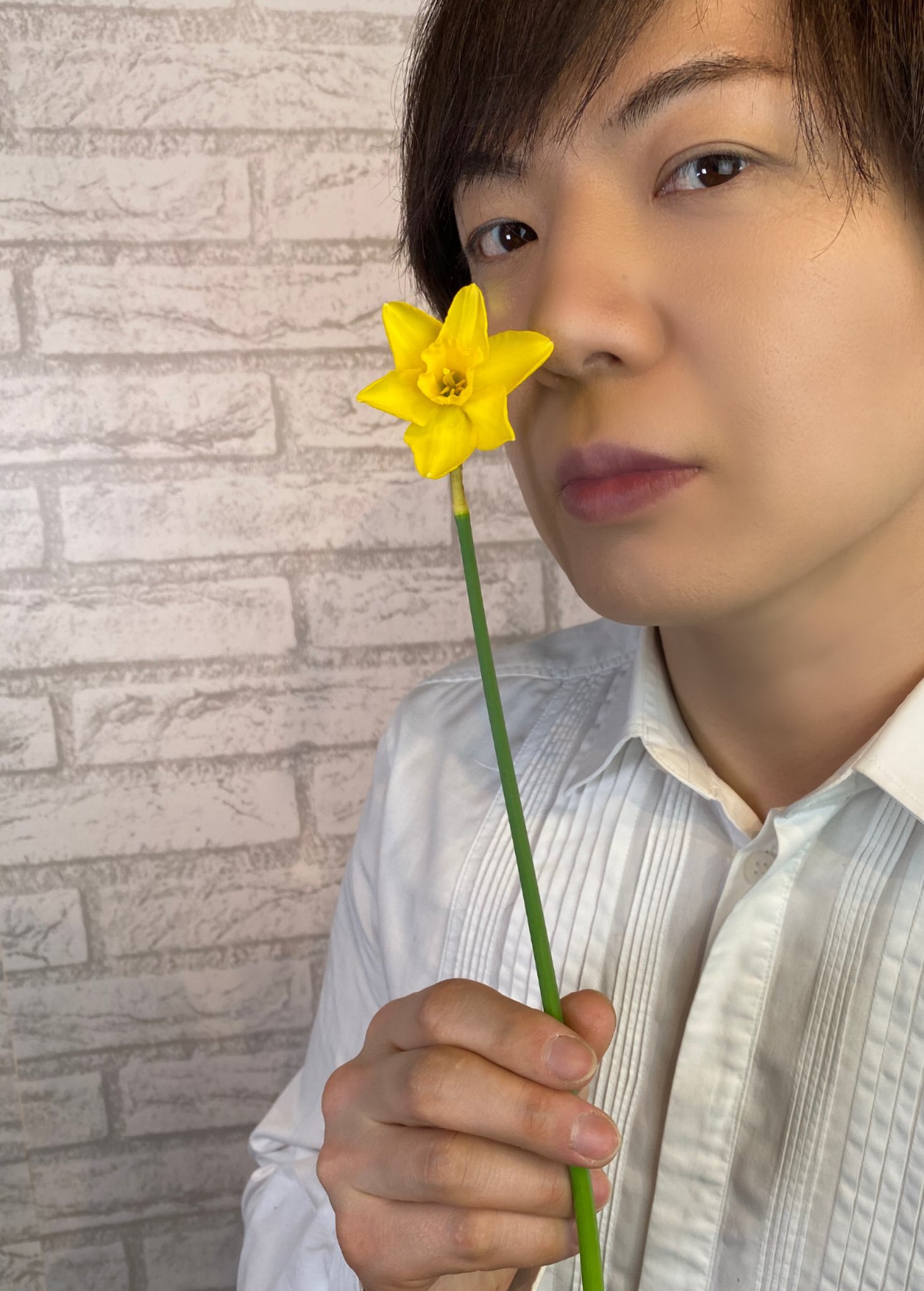 竹島宏スタッフ 公式 水仙オレオンゴールド 水仙の花言葉は 神秘 水仙もいろいろな花言葉が あります 黄色の水仙は 星みたいで可愛いですね 今日も１日お疲れ様でした ひろネット 花便り 花言葉 花 花を贈ろう 水仙 花のある暮らし 花