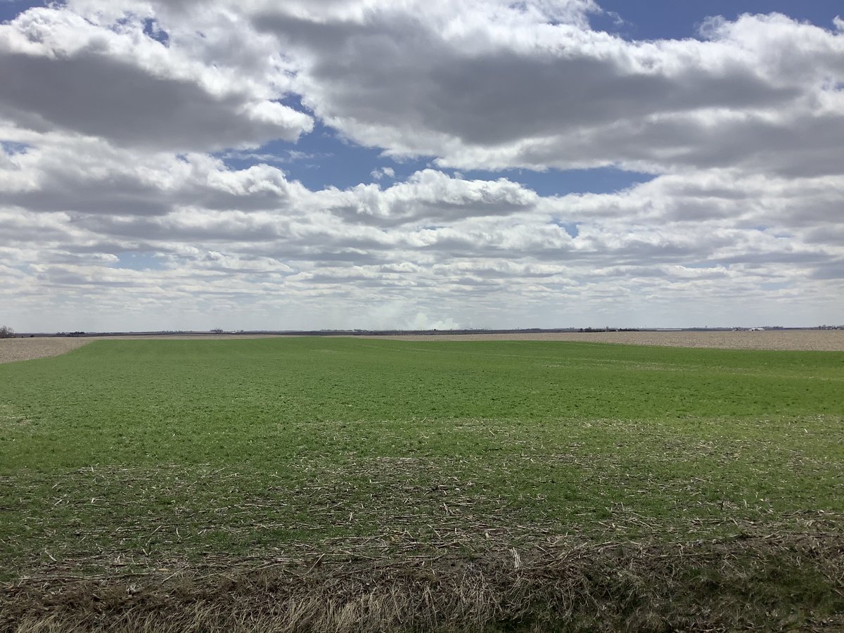 agronomist_Evan's tweet photo. Did you know 2.5 ton/ac of covers can result in 75% weed biomass reduction? = 👍 herbicide efficacy, increased biology, curve resistance. Check out this application by @rantizosprays Experimental application to the line! #FlyandApply #sustainability #soilhealth https://t.co/Wq0TMRgD4F
