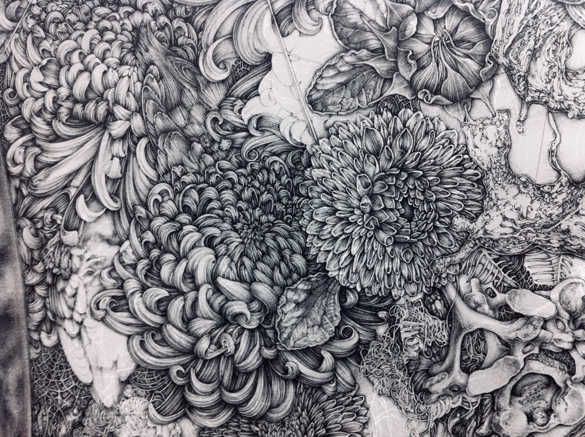 Ayaka Yamada 菊の花をモチーフにした作品とデッサンです Art Artwork 作品 版画 絵 Ayaka Yamada 菊の花をモチーフにした作品とデッサンです Art Artwork 作品 版画 絵