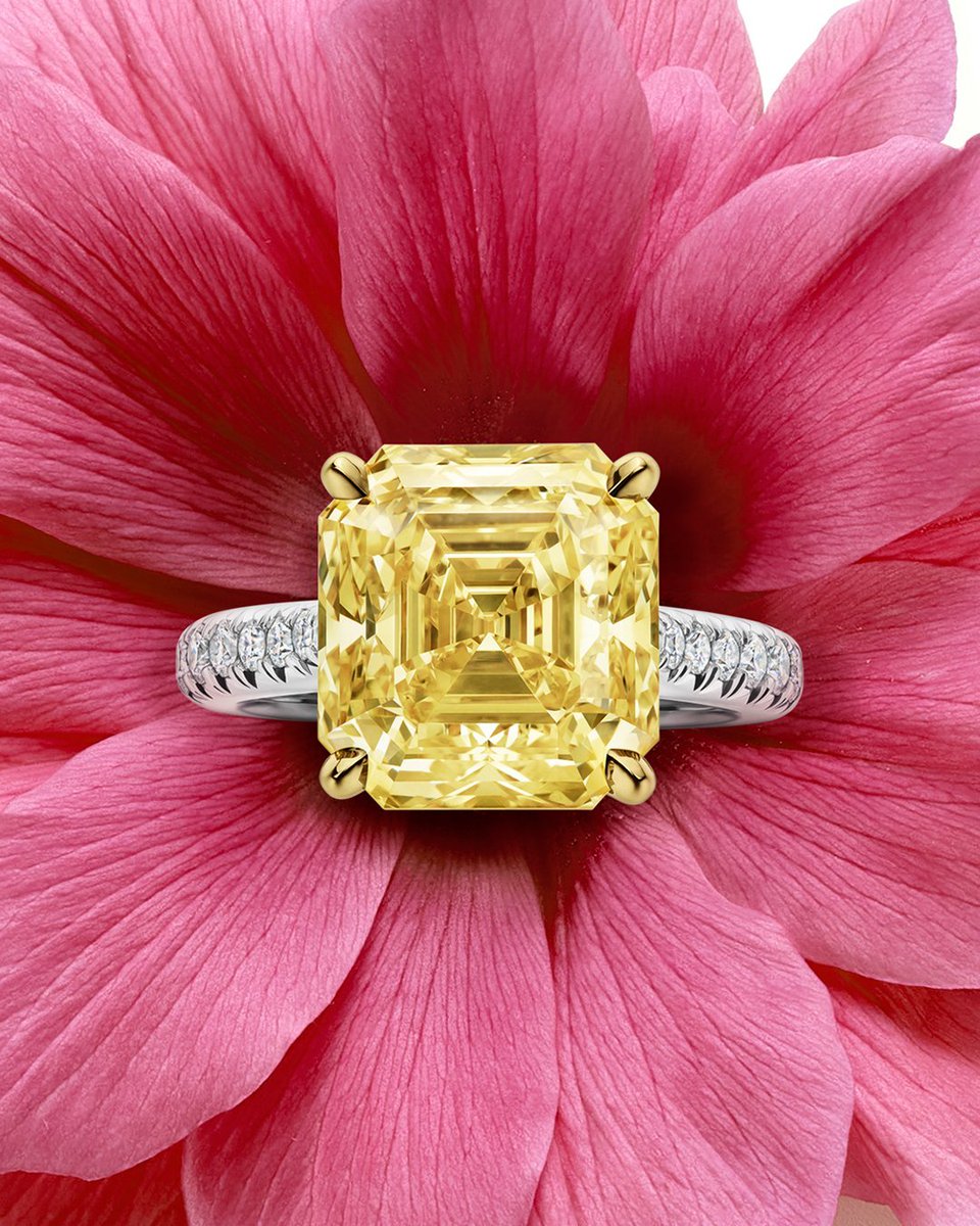FitCasuallyGEMS's tweet photo. A spectacular 8.69 carat yellow #diamond captures the warmth and promise of sunny days ahead. #WinstonInBloom #LoveIsHar... https://t.co/yjtxvFDuTG

➥ Harry Winston 🗞️ #Jewellery Good choice👌🏻 https://t.co/PdNK0hZR2O