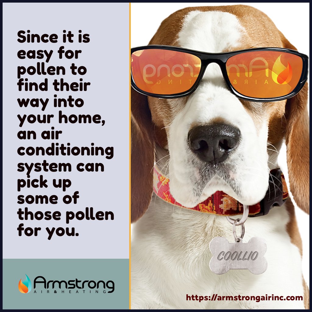 armstrongaircon's tweet photo. "Since it is easy for pollen to find their way into your home, an air conditioning system can pick up some of those pollen for you." https://t.co/oti5XYOGO3

#hvac #Acrepair #AirConditioning https://t.co/q8WiswKvIi