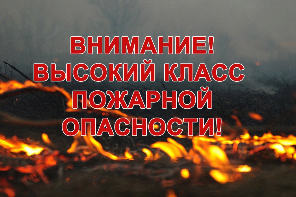 Уважаемые жители Сызрани! До 21 апреля 2021 года на территории Самарской области установлен IV класс пожарной опасности лесов, при котором гражданам запрещено их посещение  и въезд в них транспортных средств. При обнаружении возгораний  сообщайте по телефонам 112,01,101.