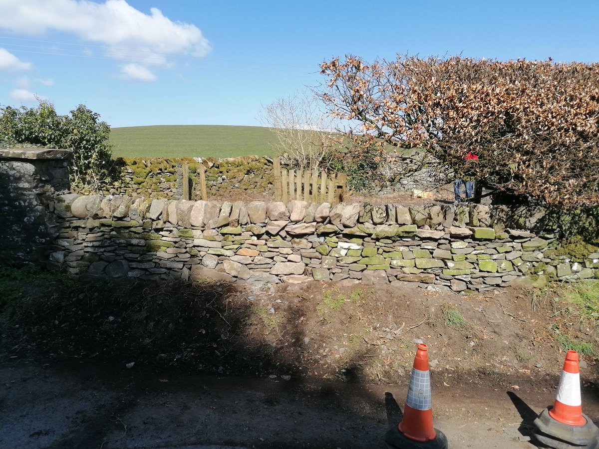 tommo_david's tweet photo. Some dry stane dyking (dry stone walling) repair work I've been doing.
Brilliant habitat for small mammals and invertebrates 👍
#dswa #heritageskill #conservation https://t.co/rdCI1rLQ7D