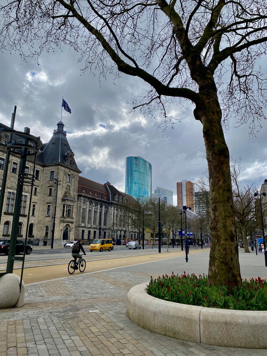 burgerpanel010's tweet photo. De Coolsingel is klaar! 🌳 Inclusief niet zo prettige bestrating vinden wij. Wat vind jij van de nieuwe Coolsingel?
#coolsingel #gemeenterotterdam #weloverotterdam #rotterdam #rotterdamhoegaathet #rotterdammers #rotterdam010 #rotterdamcity #rotterdamcentrum #coolsingelrotterdam https://t.co/kSWM5USL5Q