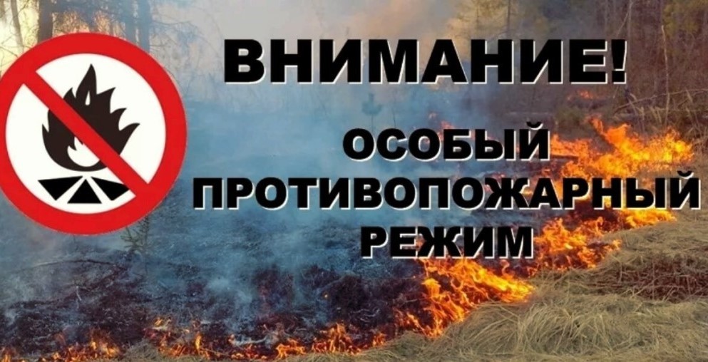 На территории г.о. Сызрань с 15 апреля по 15 октября 2021 года установлен ОСОБЫЙ ПРОТИВОПОЖАРНЫЙ РЕЖИМ! (Постановление от 09.04.2021 № 824 размещено на официальном сайте Администрации города).