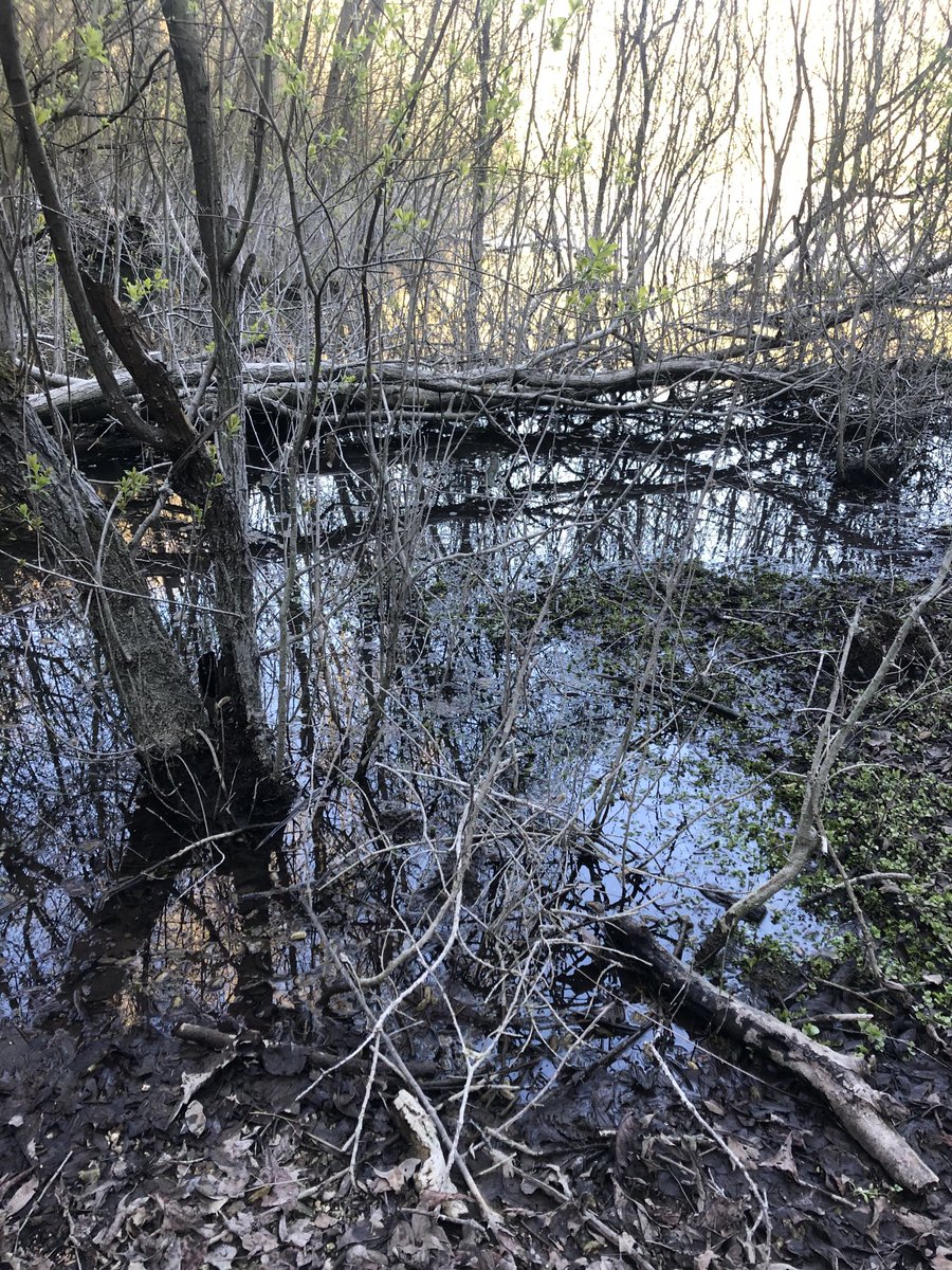 kaslade's tweet photo. Something of the 70s public information film about ⁦@humberbridge⁩ country park today #darkandlonelywater https://t.co/ChCdLAsTNt