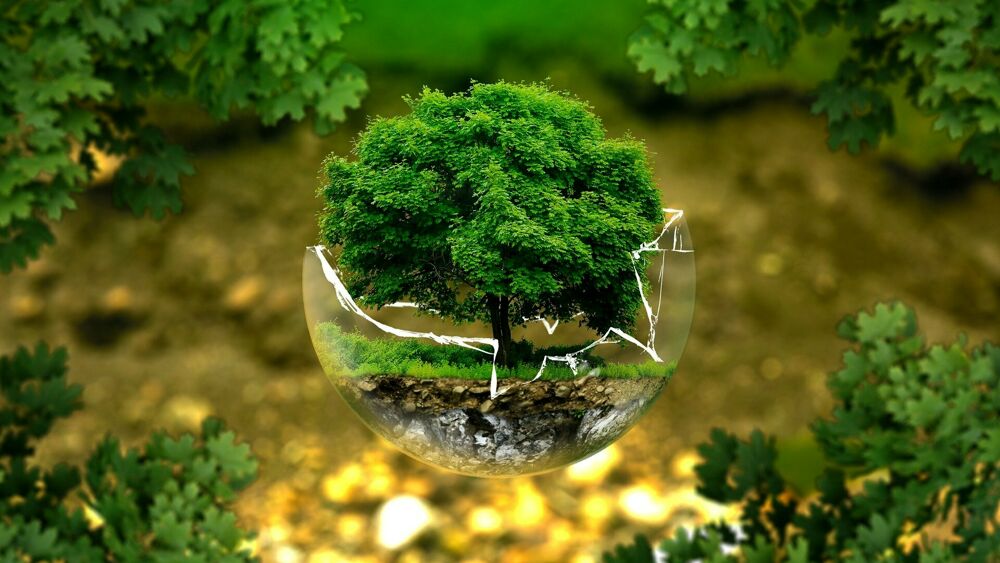 Recovery Plan, rivoluzione verde e transizione energetica: una piattaforma on line ne valuterà l'andamento dlvr.it/Rxl9ry