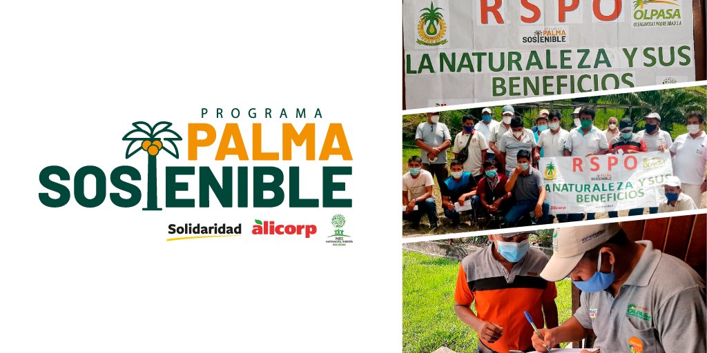 PERÚ 🇵🇪 | Continuamos con las capacitaciones del Programa de #Palma Sostenible a extractoras y asociaciones participantes. <a href="/RSPOtweets/">Roundtable on Sustainable Palm Oil</a> <a href="/AlicorpOficial/">Alicorp</a> <a href="/Nesnaturaleza/">NES Naturaleza</a> #Olpasa