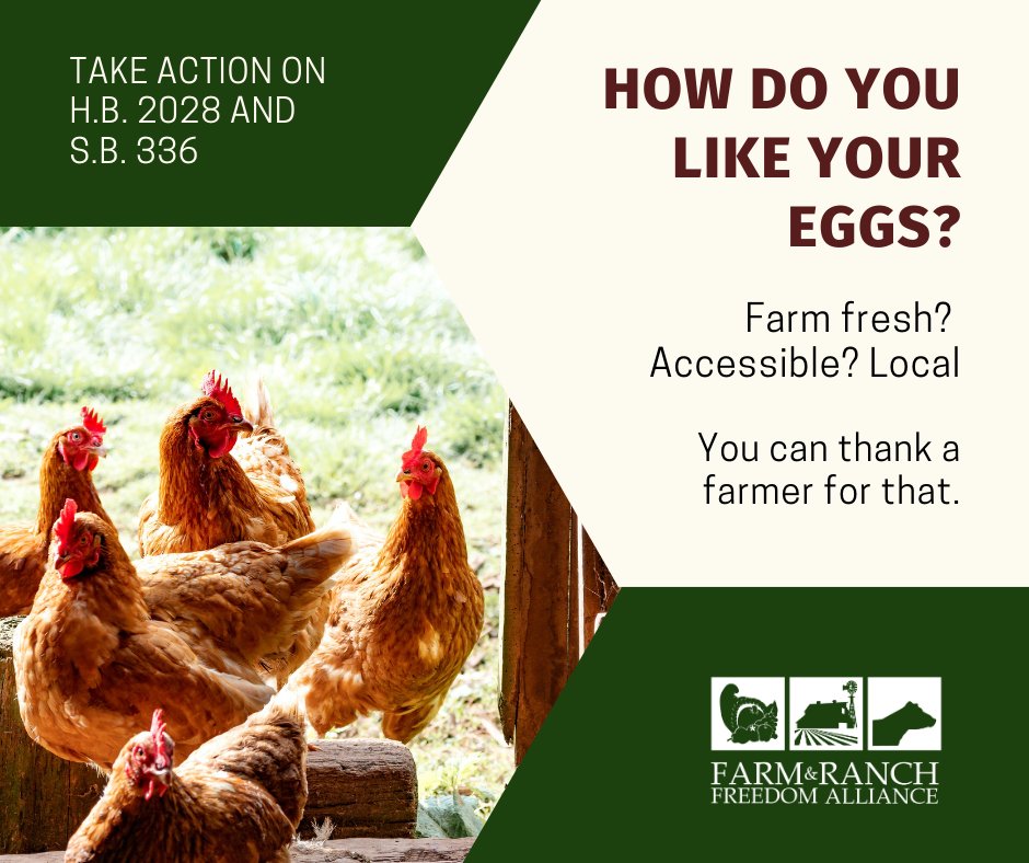 Our bill to allow farmers to sell ungraded eggs to restaurants is STILL waiting for committee hearings in both TX chambers. We need more co-sponsors on this bill to move it along! Ask your TX state Rep and Senator to co-sponsor HB 2028/SB 336. More at bit.ly/TXungradedeggs