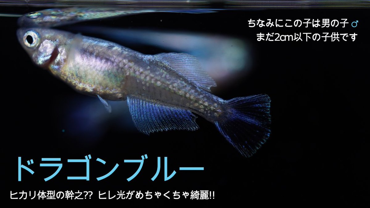 背 ロケ地 撮影秘話 最新情報まとめ みんなの評価 レビューが見れる ナウティスモーション 2ページ目 背 ロケ地 撮影秘話 最新情報まとめ みんなの評価 レビューが見れる ナウティスモーション 2ページ目