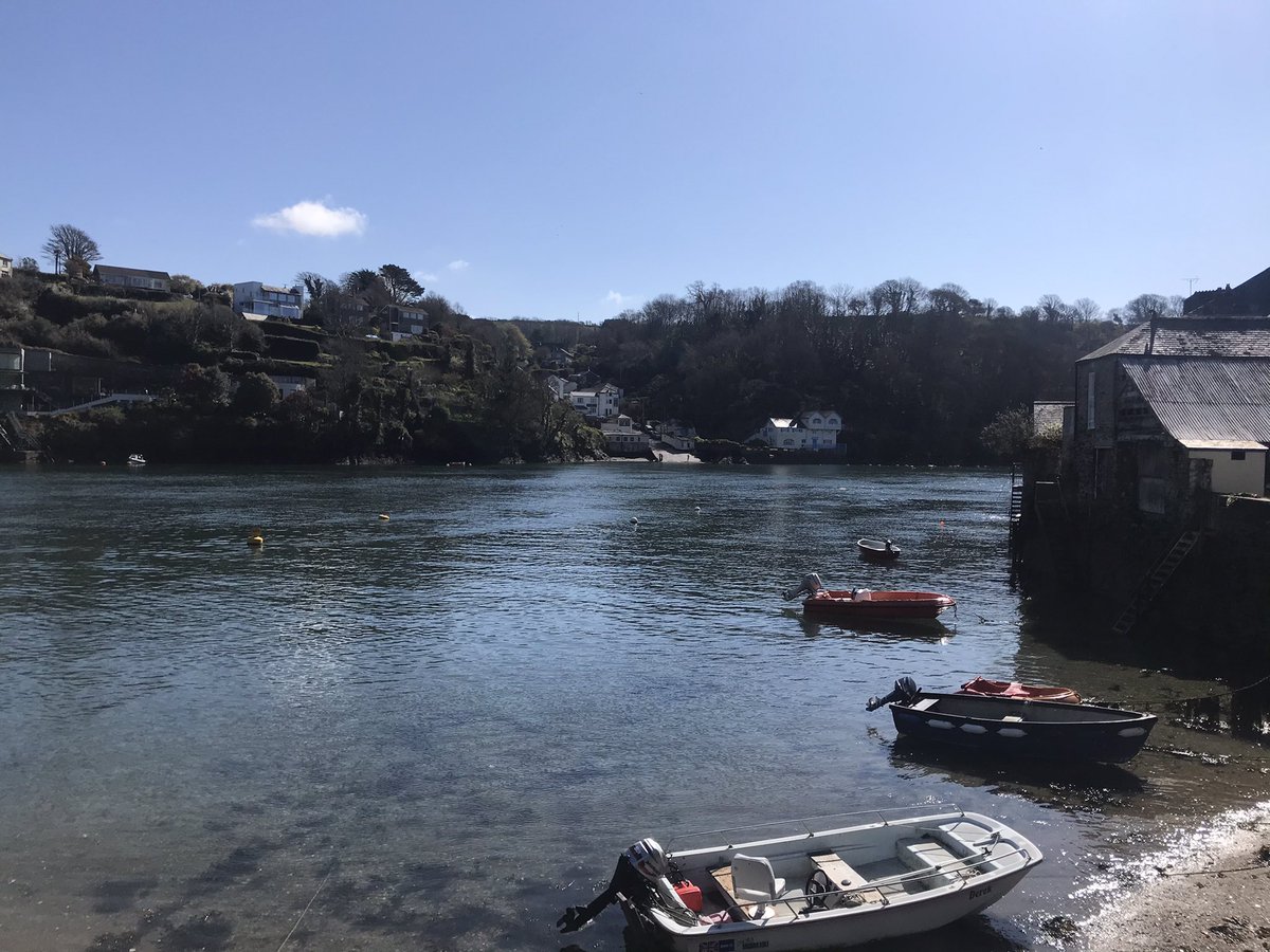 Dr Pinkie Chambers tweet media