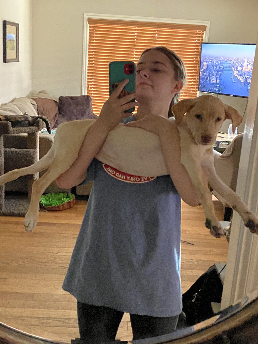 The progress pics no one asked for ✨