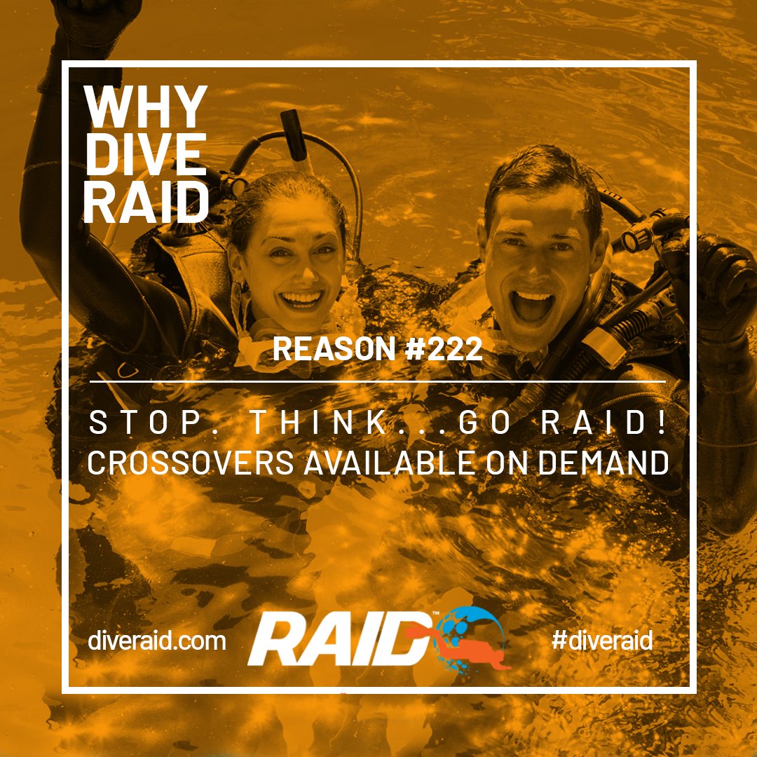 RAID - The fastest growing agency in the World. Safe - Inclusive - Technology. Diver Training in a Class of its Own. Make the choice and crossover today. 
diveraiduk.com/.../crossover-…...
#diveraid
#diveraiduk
#beunafraid
#scuba
#scubadiving