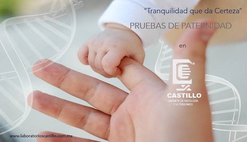 ¿Necesitas una Prueba de Paternidad?...

Pide información vía telefónica 2222407800 o en nuestras redes sociales

#laboratorioscastillo #PruebaDePaternidad #LaboratorioMédico