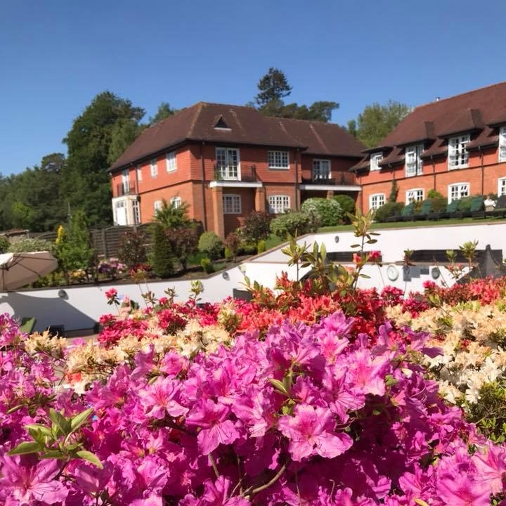 chilloutyoga's tweet photo. Our Champneys chillout retreat is the ultimate treat. ...In the middle of a beautiful royal forest by a lake there stood an ancient hunting lodge. If this isn’t the start of a fairy tale, it’s as close as you’ll get. https://t.co/8ellbFsxmC