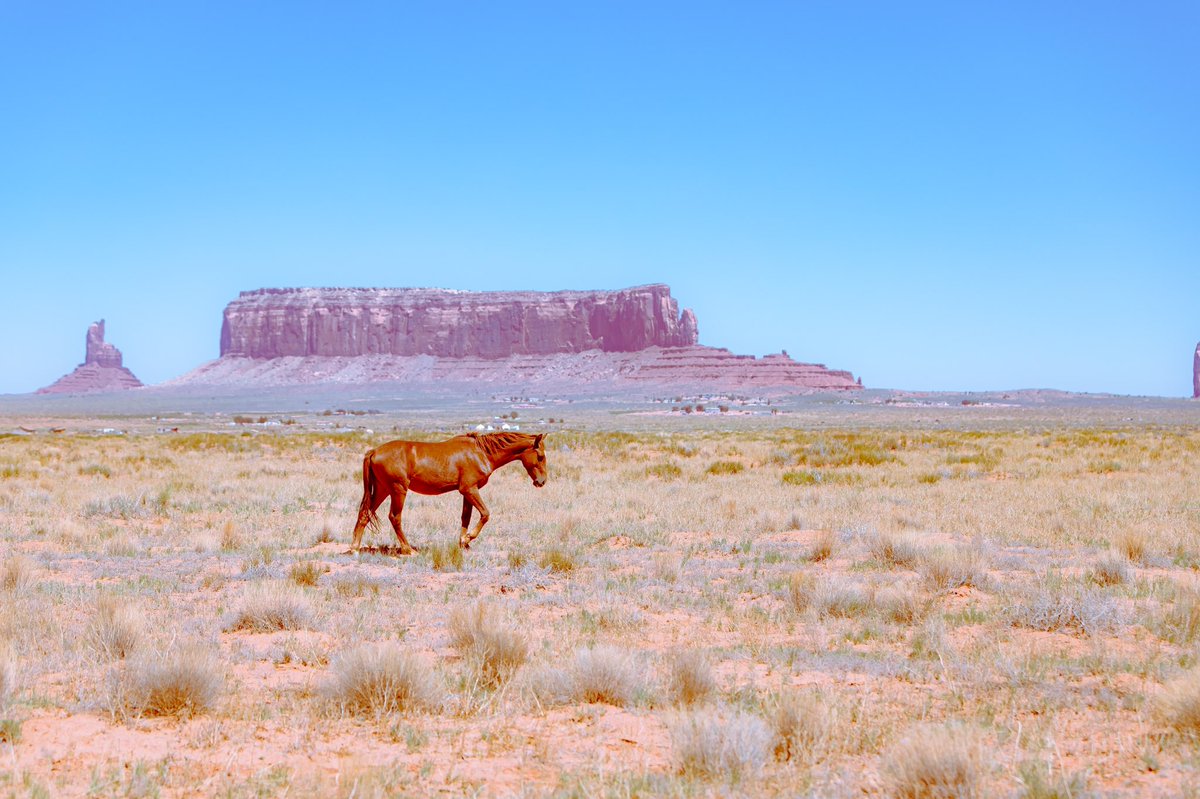 briscoepark's tweet photo. Photos I took in the desert https://t.co/73LpL2c22a