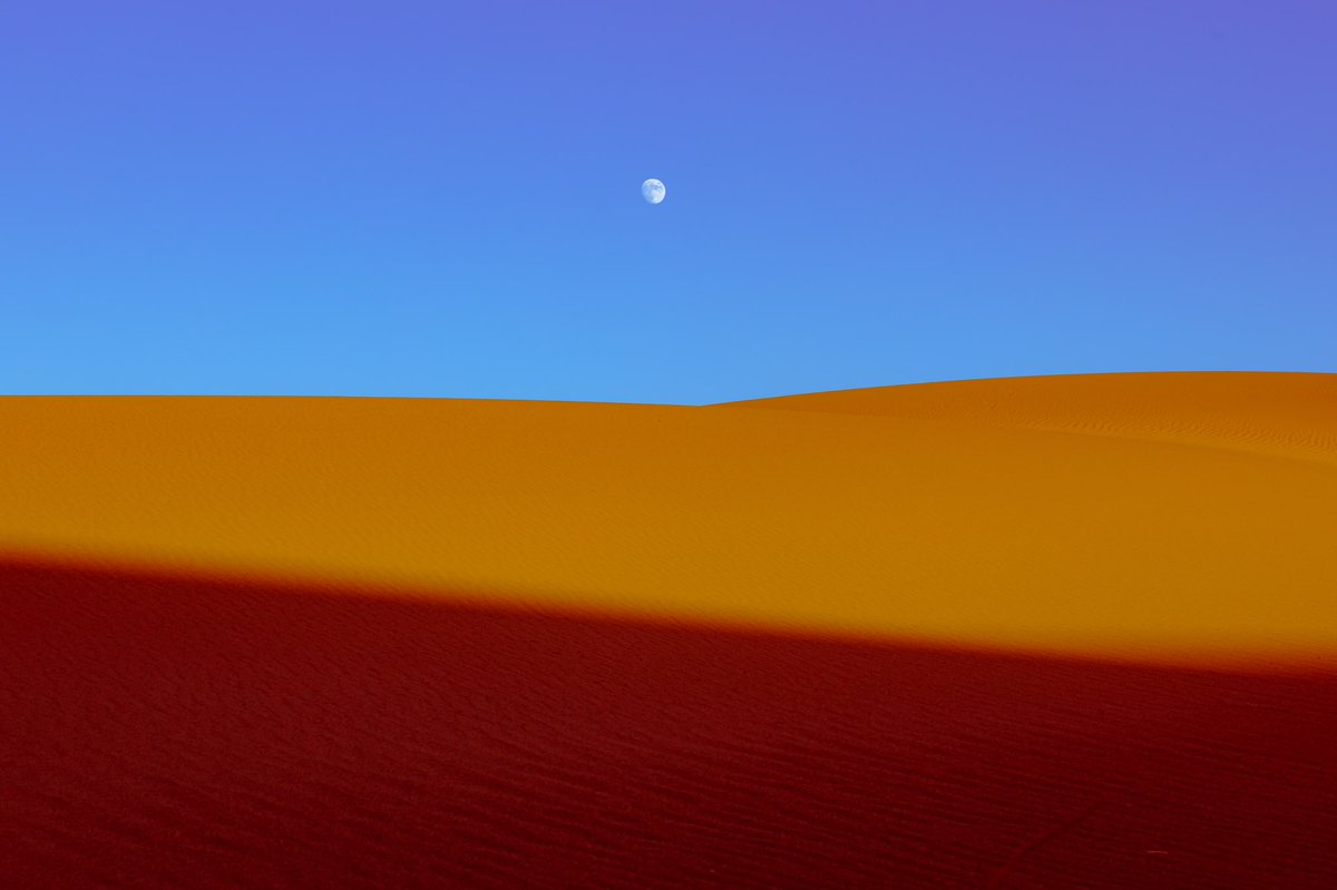 briscoepark's tweet photo. Photos I took in the desert https://t.co/73LpL2c22a