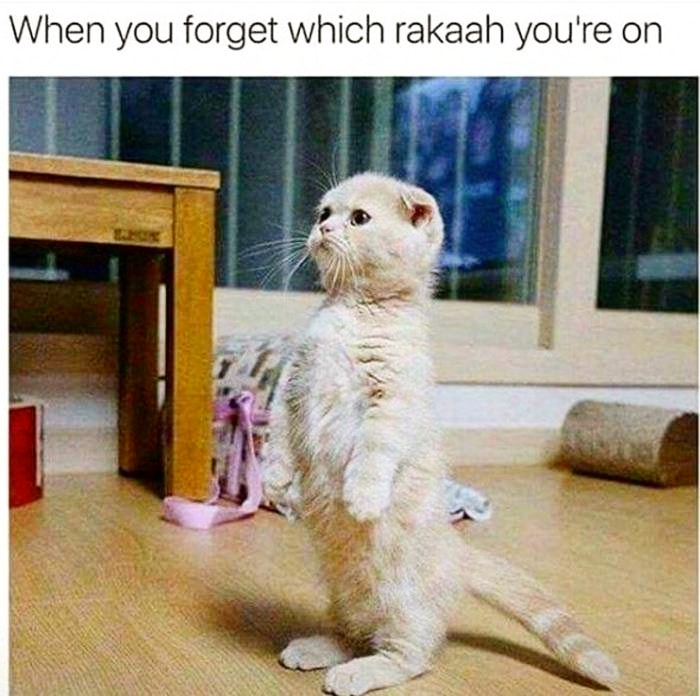 Hamburger Generation tweet media