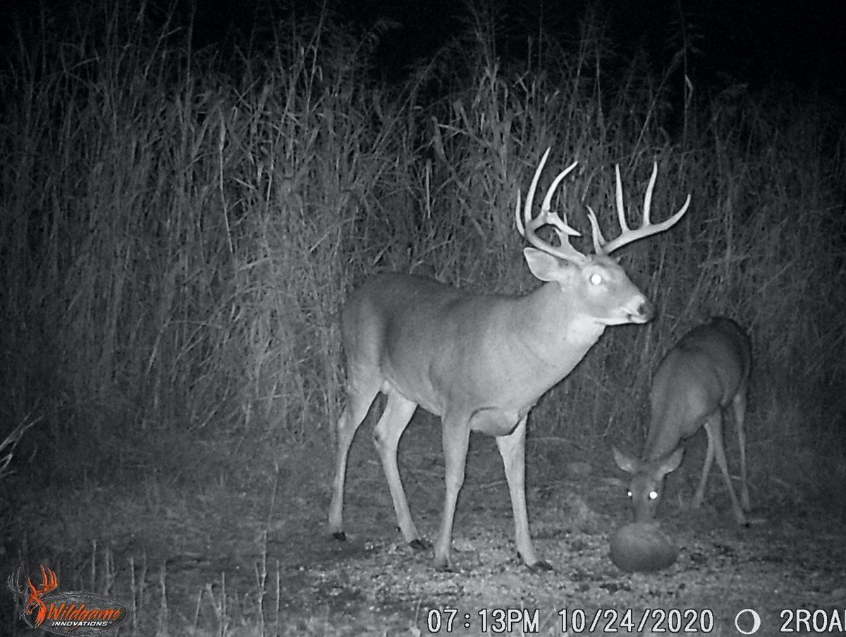 #TBT with the Buck Commander crew! #WildgameInnovations #WildgameTrailCam