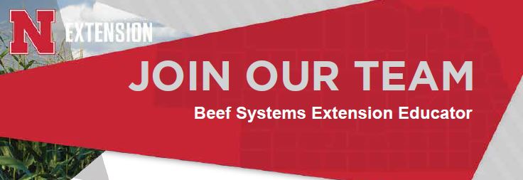 UNLBeef's tweet photo. We have two full-time Beef Educator positions available - one located in Valentine and one located in Red Cloud, NE. Visit https://t.co/mTkaEBWh1A to apply! 
#beef #cattle #beefsystems #UNLBeefExt #NebEx 
@WebsterCoExtNE https://t.co/VCvrDXCw2z
