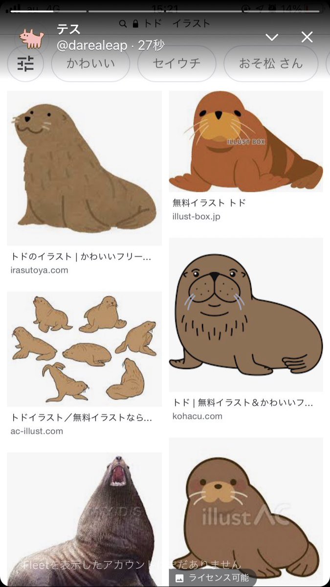 テス Darealeap Twitter テス Darealeap Twitter