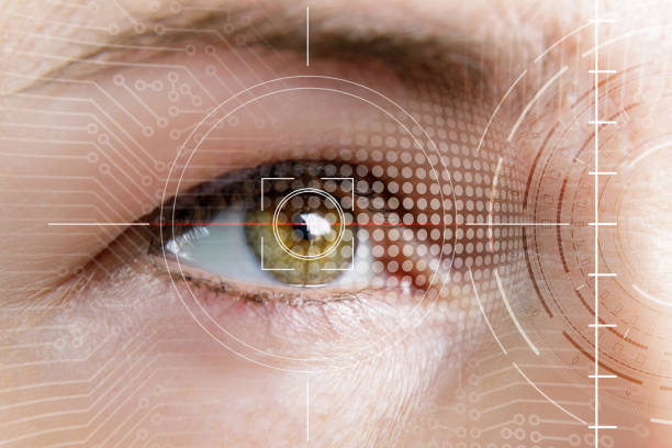 ONDRISTUDY's tweet photo. Eye tracking helps ID #ParkinsonDisease-like abnormalities in pre-PD individuals, some with #REMsleepdisorder, a known forerunner to PD. Preprint co-authored by ONDRI researchers in collab w/German lab: https://t.co/hwKf9wzz06 #DiseaseBiomarkers #PDAwarenessMonth @QueensU_CNS https://t.co/1gzA84H8IC