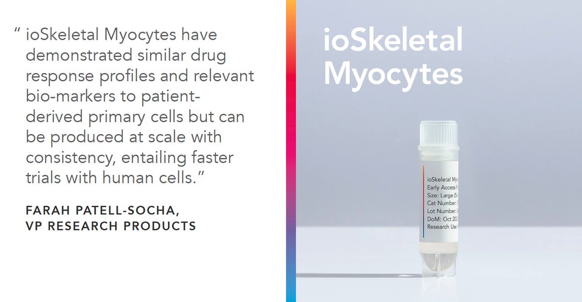 bitbio's tweet image. Find out more about ioSkeletal Myocytes, the powerful technology behind bit.bio’s ioCells and the future vision to accelerate biomedical research in our latest interview with @DDWjournal. 

bit.bio/sitting-down-w…

#ioCells #optiox #cellcodingcompany #ipscs