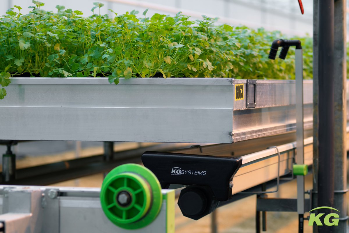 Our strength lies in our knowledge of innovative benches, cultivation systems and internal transport systems. We make it possible for our customers to combine their passion for horticulture with sustainability. #GrowWithUs 🌱