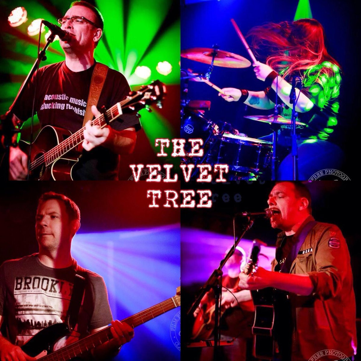 The Velvet Tree (@velvettree) on Twitter photo 